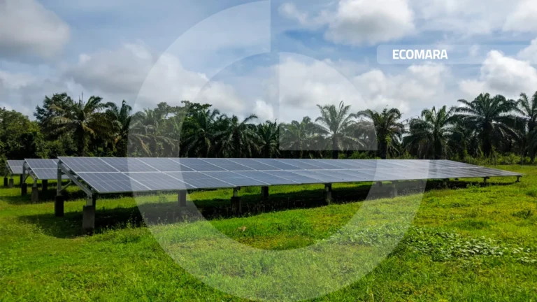 Eonomara paneles solares