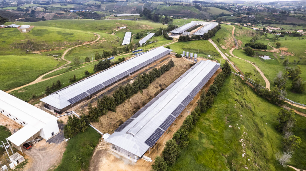 Energía renovable en avicolas