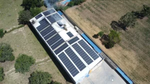 energía solar en plantas industriales