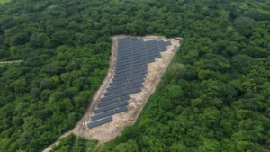 Panales solares-avicola-EL Guamito (2)