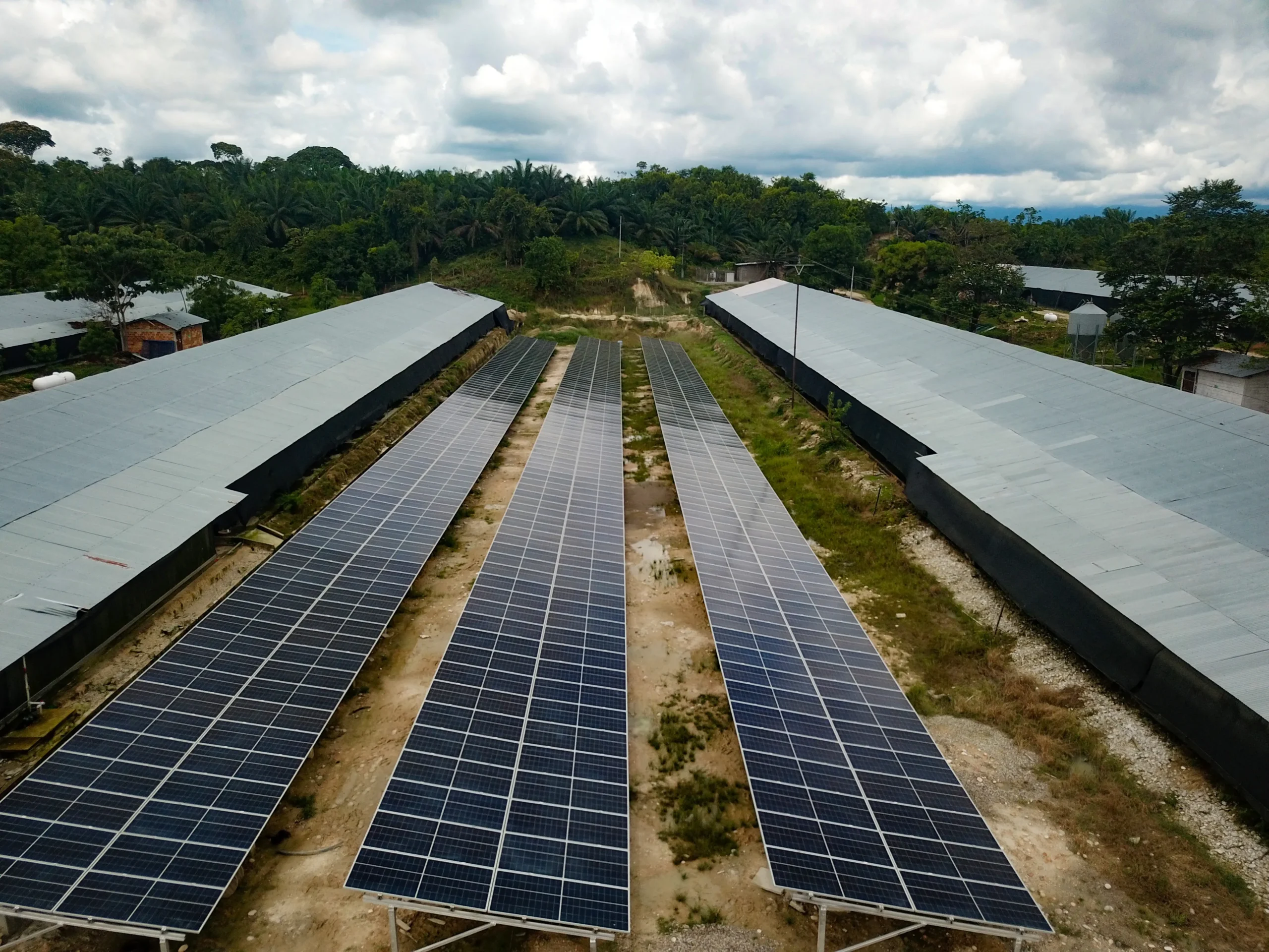 Panales solares-avicola-EL Guamito