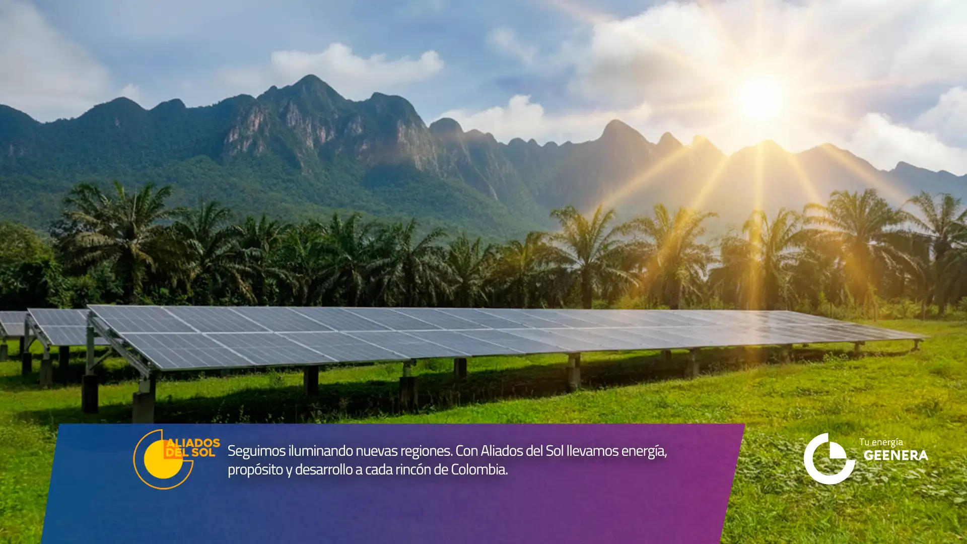 paneles solares avicolas