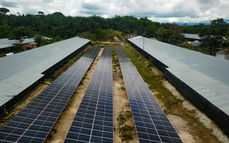 Panales solares-avicola-EL Guamito